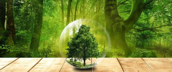 “碳中和”:中國的機會在哪里?