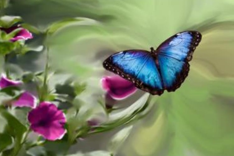 電力行業(yè)碳交易引發(fā)蝴蝶效應(yīng): 多行業(yè)備戰(zhàn)低碳經(jīng)濟(jì)